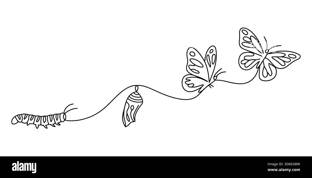 Farfalla ciclo di vita metamorfosi evoluzione continuo linea art insetto Illustrazione Vettoriale