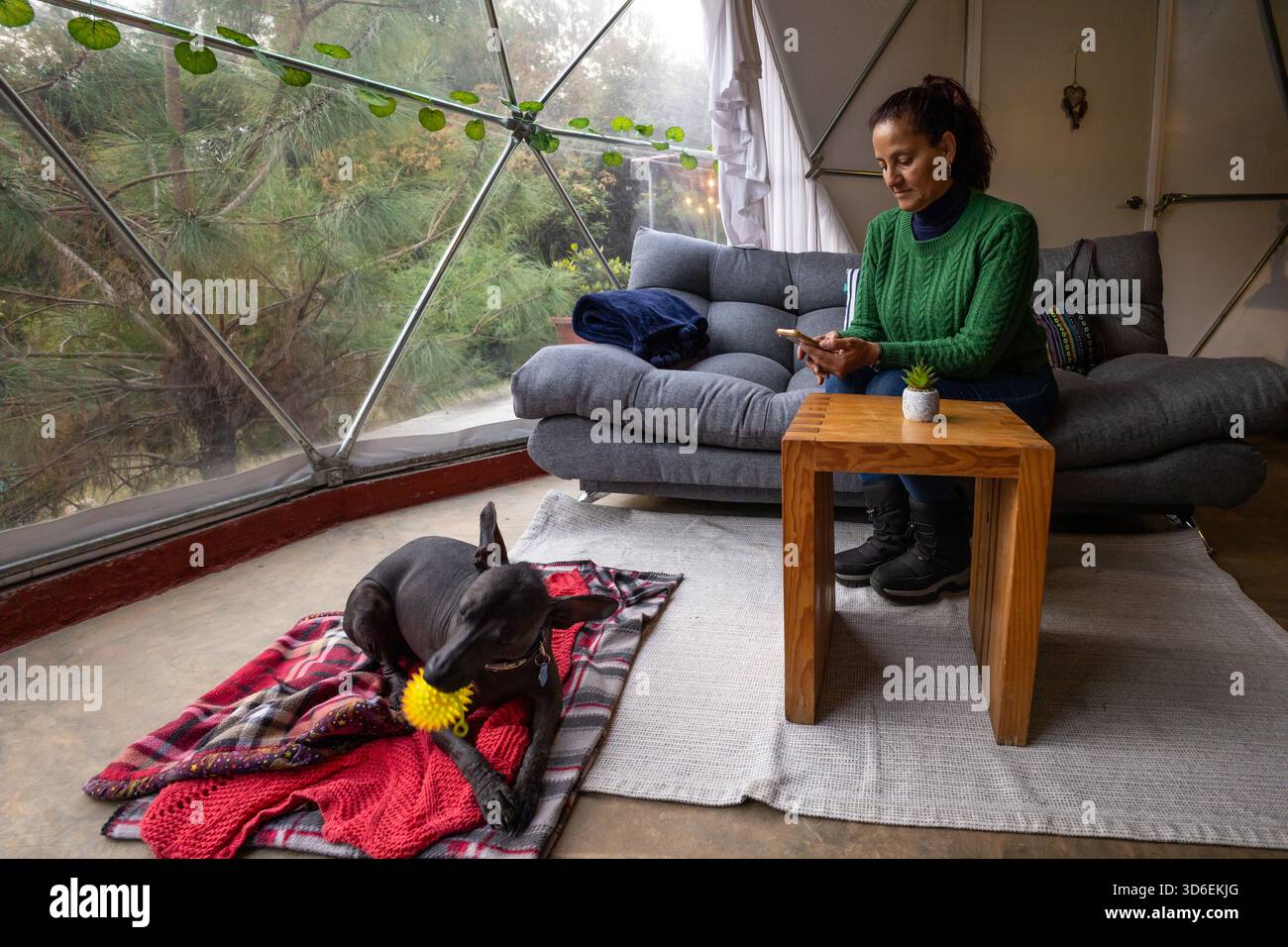 Una donna con un maglione verde si siede su un divano, usando il suo telefono all'interno di un glamping. Il suo cane giace su una coperta, giocando con un giocattolo. Filtri per luce naturale Foto Stock