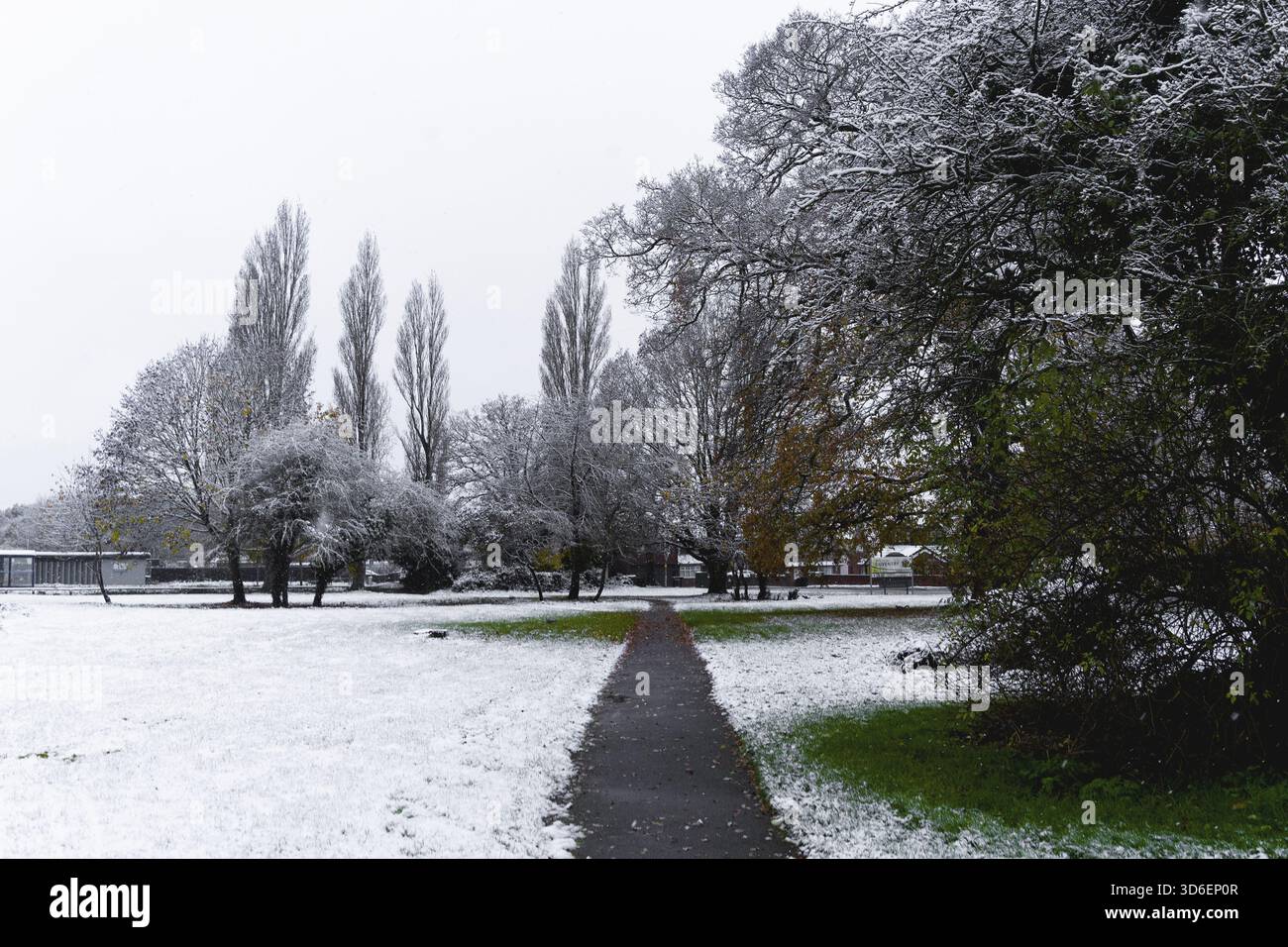 Un tranquillo scenario invernale con un sentiero che conduce attraverso un parco. Gli alberi sono spolverati di neve, creando un'atmosfera tranquilla. Il cielo e' coperto, si aggiunge Foto Stock