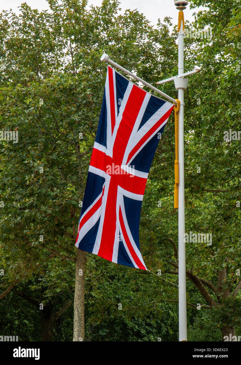 La bandiera Union Jack sventola orgogliosamente su un palo circondato da alberi verdi in una strada a Londra in Inghilterra. Foto Stock