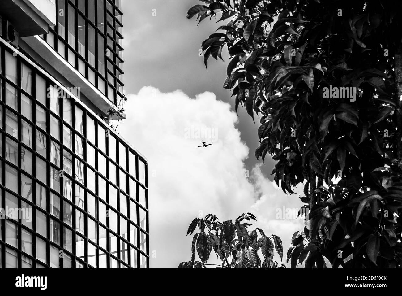 Un piccolo aereo taglia silenziosamente il cielo, incorniciato tra la geometria rigida di un edificio ricoperto di vetro e la sagoma del fitto fogliame Foto Stock