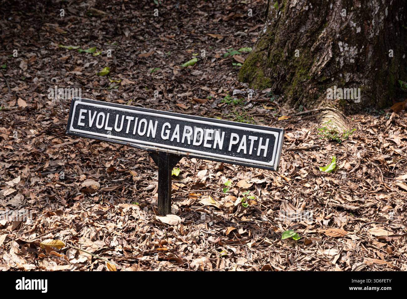 Evolution Garden Path nei Giardini Botanici di Singapore, Singapore, Sud-Est asiatico Foto Stock