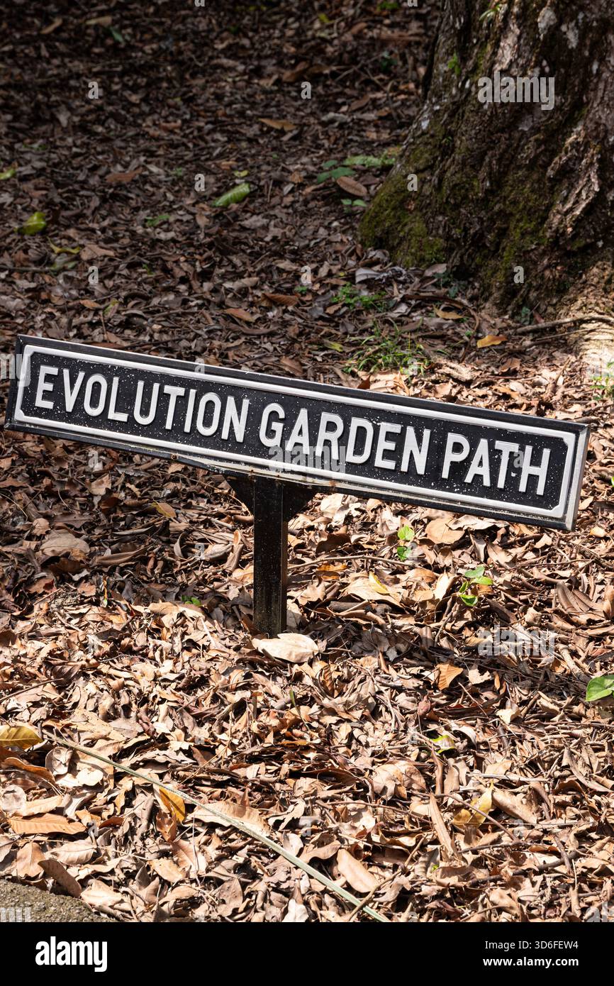 Evolution Garden Path nei Giardini Botanici di Singapore, Singapore, Sud-Est asiatico Foto Stock
