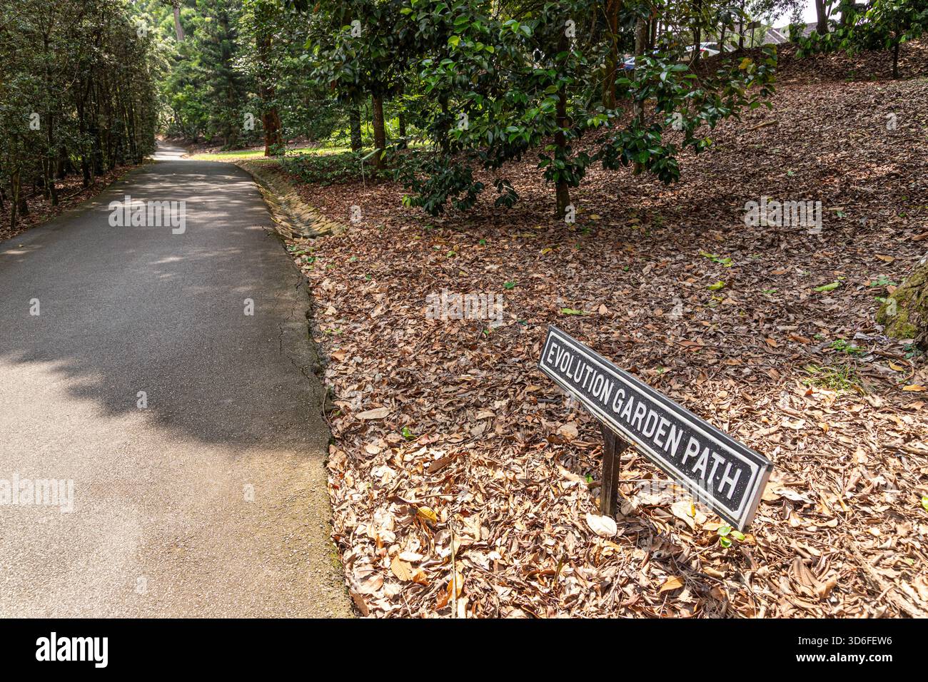 Evolution Garden Path nei Giardini Botanici di Singapore, Singapore, Sud-Est asiatico Foto Stock