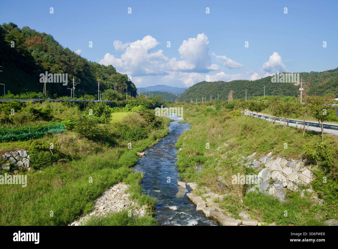 Il torrente Daljeon si snoda tra le rive verdi e i campi di riso sotto alte nuvole vicino a Gapyeong, con il percorso ciclabile Bukhangang e i pali di servizio che tracciano il Foto Stock