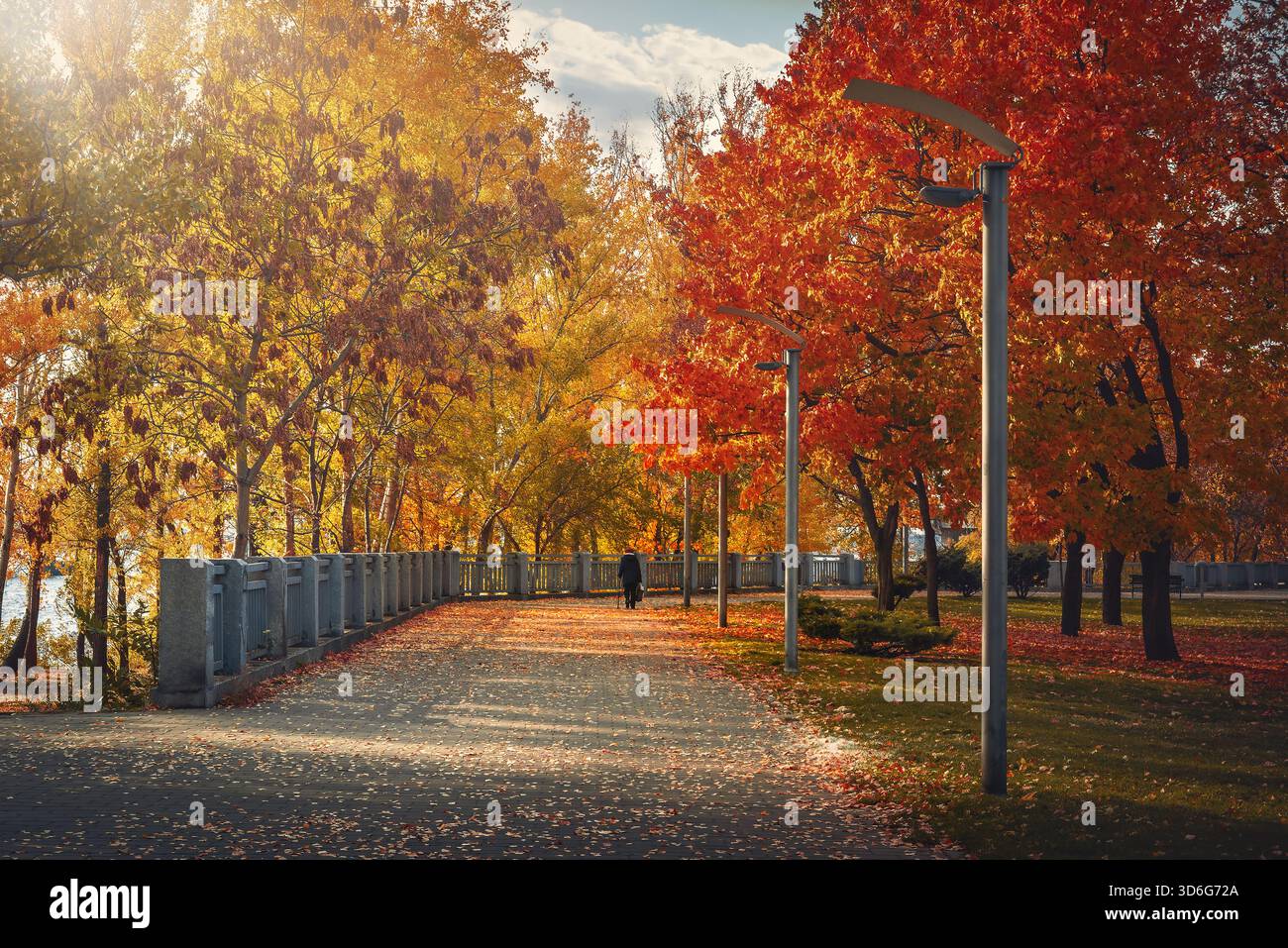 Una persona cammina lungo un tranquillo sentiero circondato da un brillante fogliame autunnale sotto un cielo limpido in un parco tranquillo. Foto Stock
