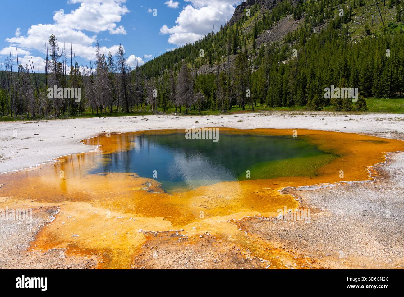 Vista del parco nazionale di Yellowstone nel Wyoming, Stati Uniti. Il parco nazionale di Yellowstone è un'area ricreativa nella natura selvaggia in cima a un punto vulcanico caldo. Foto Stock
