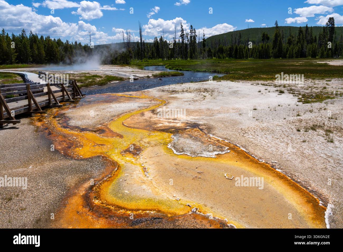 Vista del parco nazionale di Yellowstone nel Wyoming, Stati Uniti. Il parco nazionale di Yellowstone è un'area ricreativa nella natura selvaggia in cima a un punto vulcanico caldo. Foto Stock