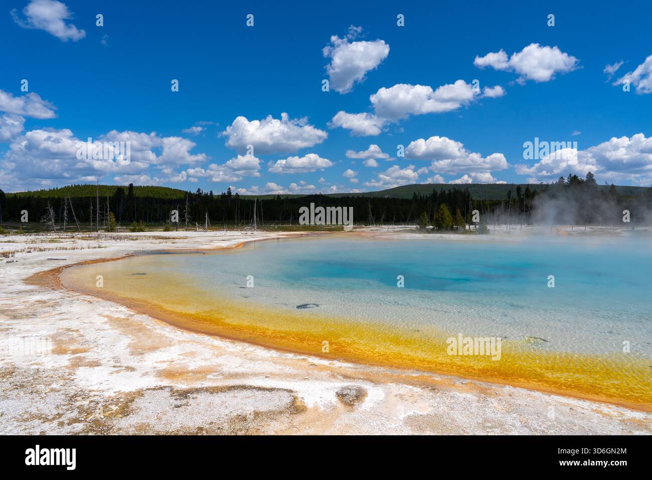 Vista del parco nazionale di Yellowstone nel Wyoming, Stati Uniti. Il parco nazionale di Yellowstone è un'area ricreativa nella natura selvaggia in cima a un punto vulcanico caldo. Foto Stock