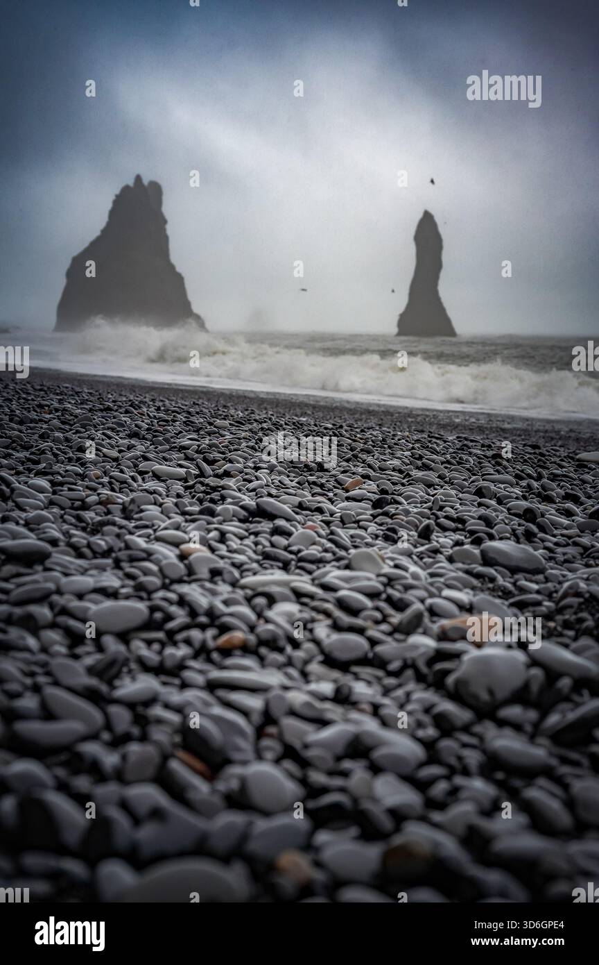 La splendida spiaggia di sabbia nera di Reynisfjara, la spiaggia più pericolosa del mondo, in Islanda Foto Stock