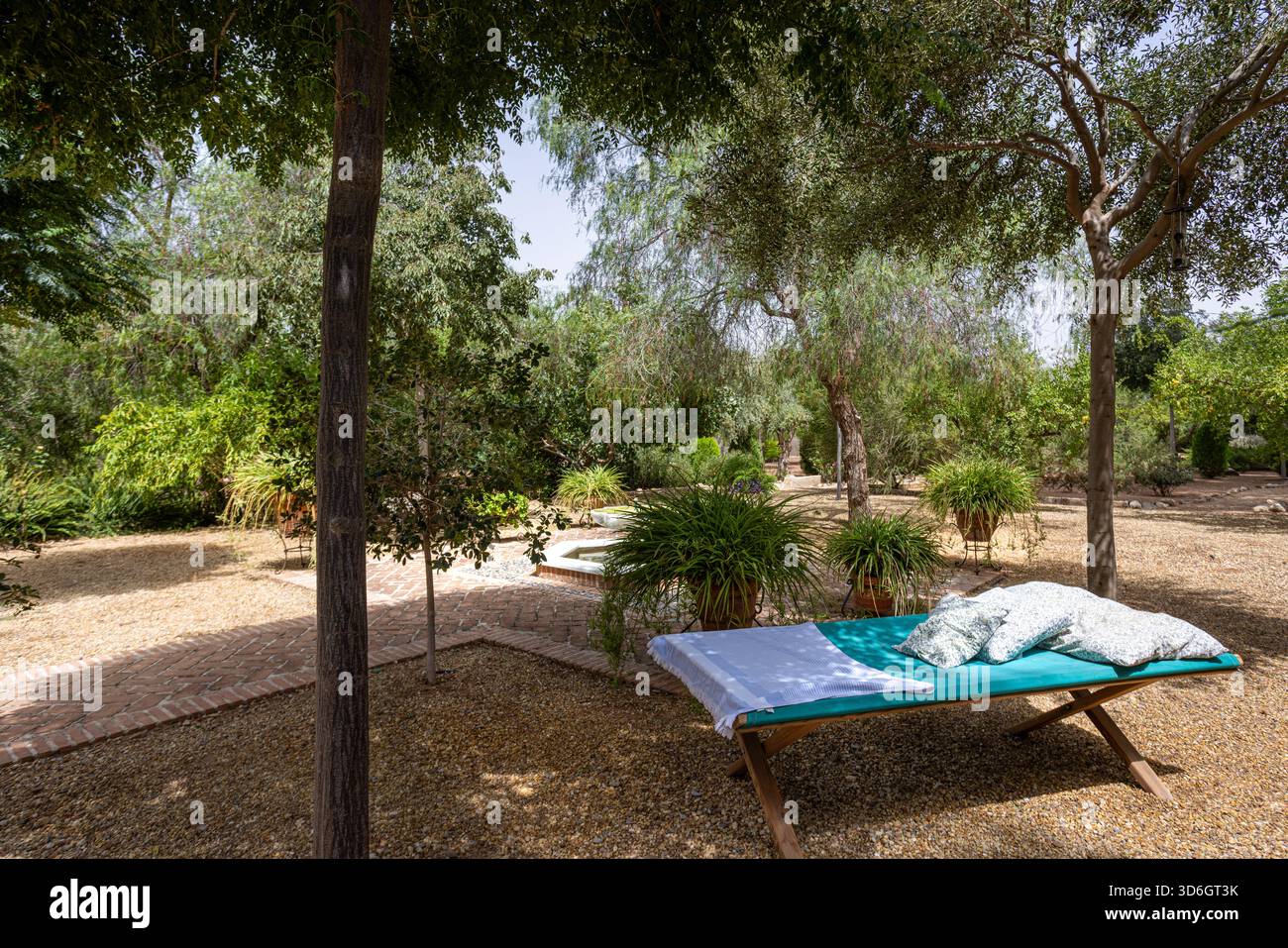 Tranquillo giardino con culle, piante e passerella in mattoni all'ombra di alberi verdi Foto Stock