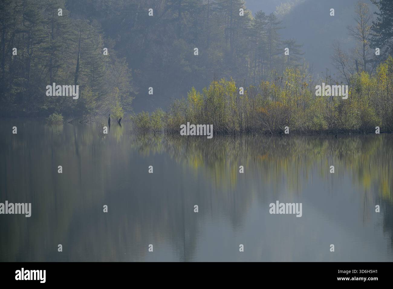 Lago calmo con nebbia e alberi autunnali che si riflettono nella luce del mattino, Italia Foto Stock