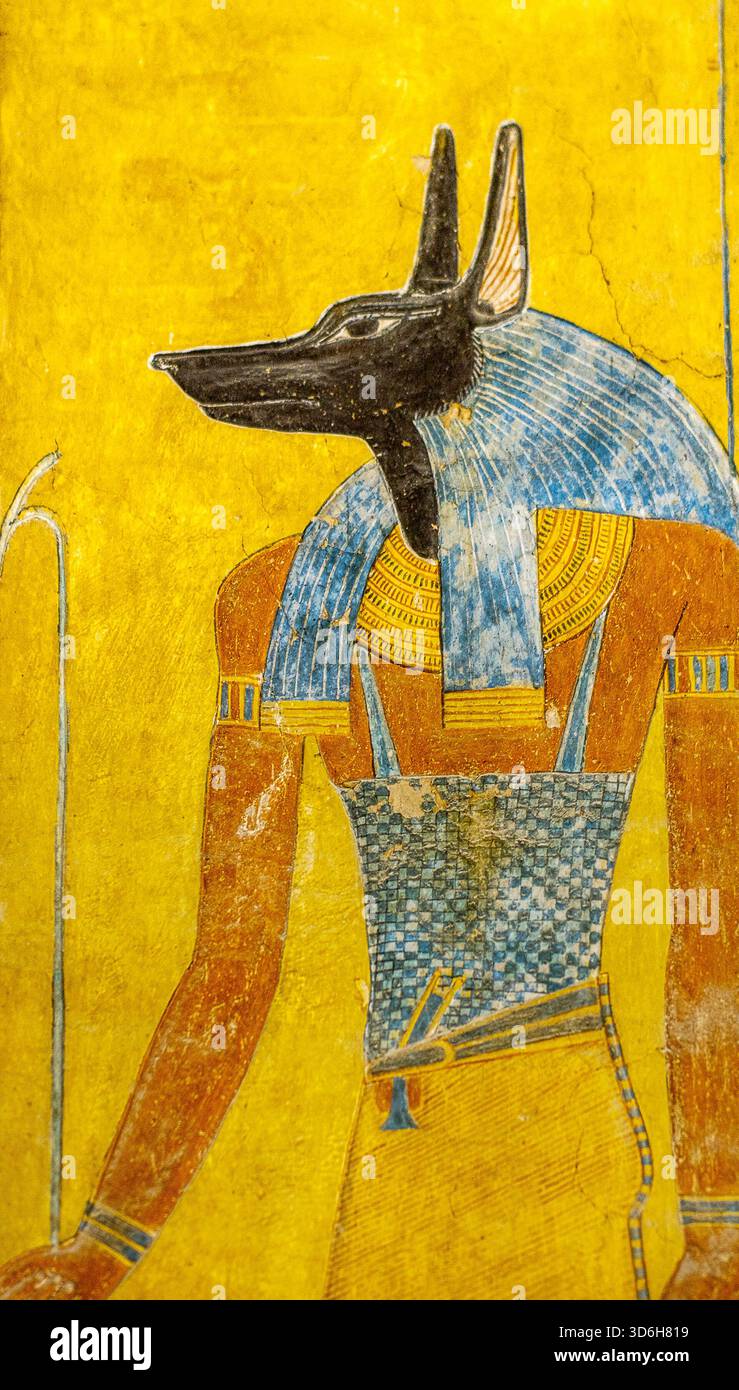 Il dio egizio Anubis, venerato come custode delle tombe e divino patrono dell'imbalsamazione, è raffigurato in questo antico dipinto murale all'interno del KV 14, Foto Stock