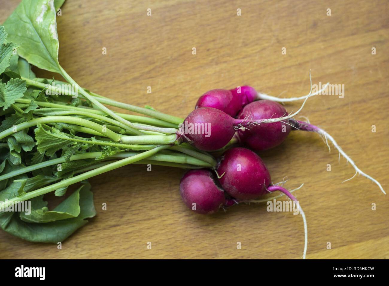 Cibo, mazzo di ravanello rosso da un letto da giardino su un tavolo rurale Foto Stock