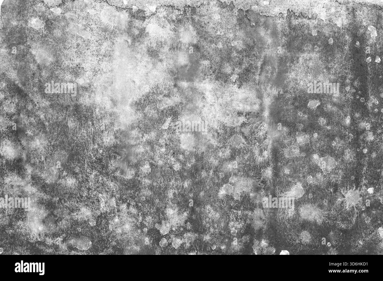 Cibo, sfondo astratto bianco e nero ad acquerello dipinto a mano Foto Stock