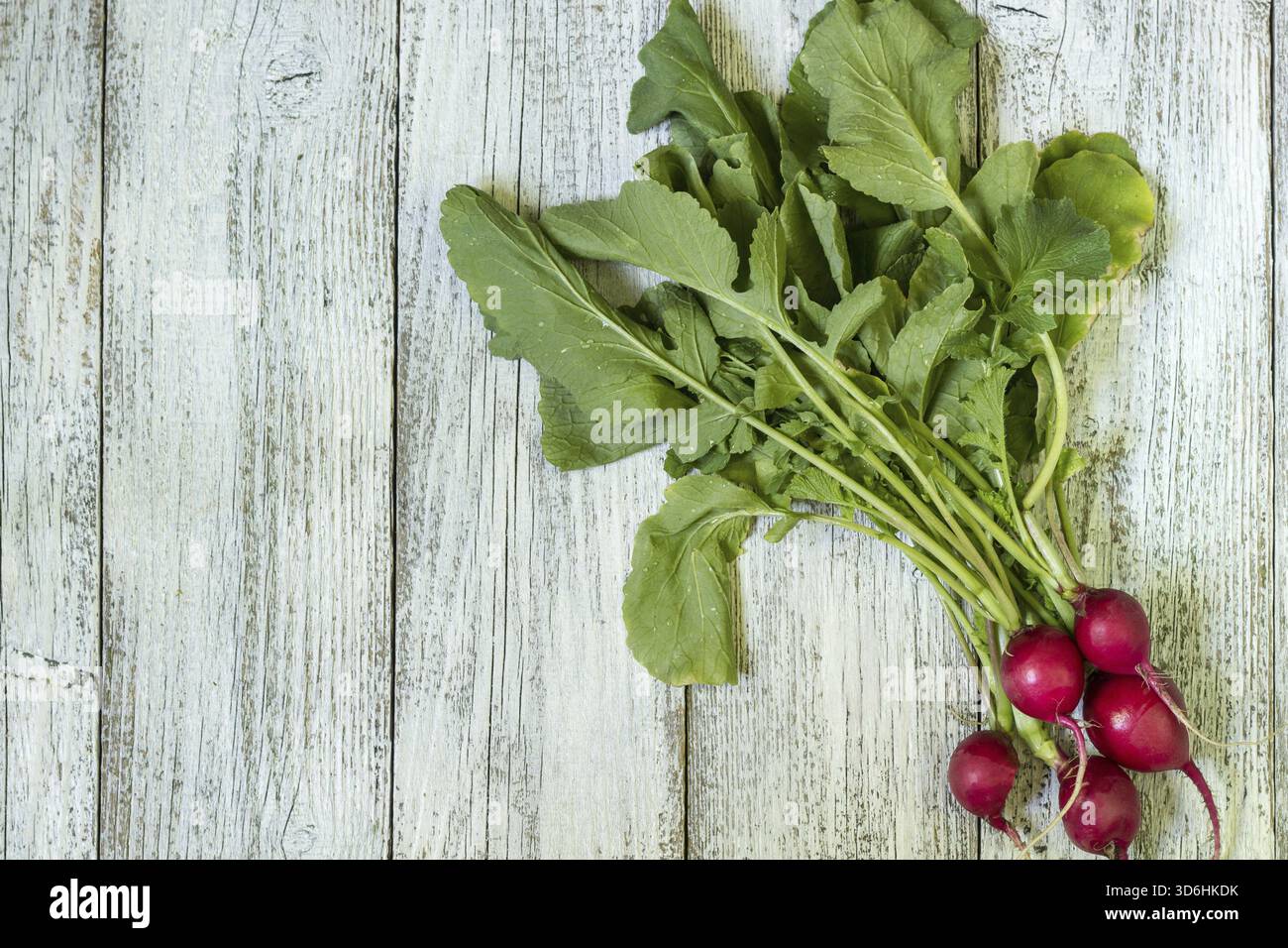 Cibo, mazzo di ravanello rosso da un letto da giardino su un tavolo rurale Foto Stock