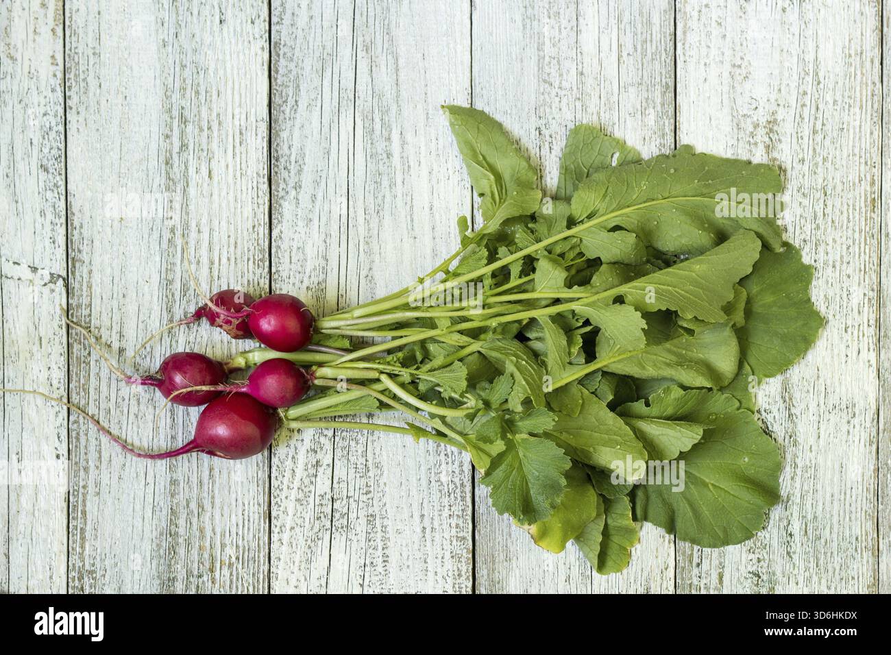 Cibo, mazzo di ravanello rosso da un letto da giardino su un tavolo rurale Foto Stock
