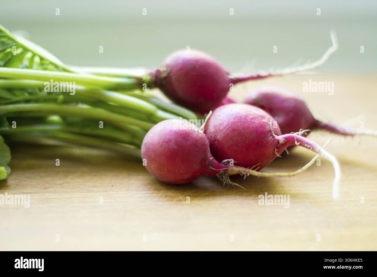 Cibo, mazzo di ravanello rosso da un letto da giardino su un tavolo rurale Foto Stock
