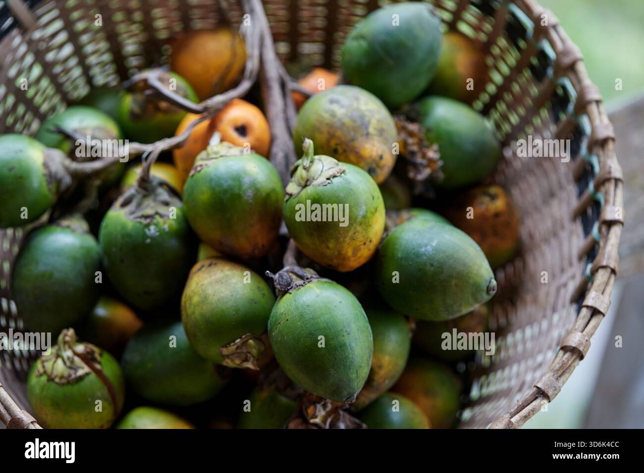 Noce di betel maturo nel cesto di bambù intrecciato Foto Stock