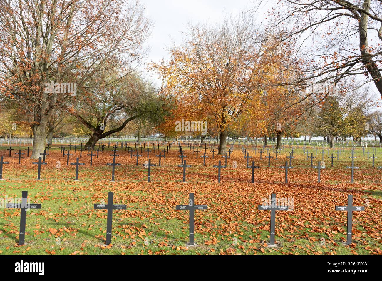 Croci tombe con i nomi dei soldati tedeschi caduti si trovano nel cimitero di guerra tedesco di Neuville-St Vaast, che è stata un'erita mondiale dell'UNESCO Foto Stock