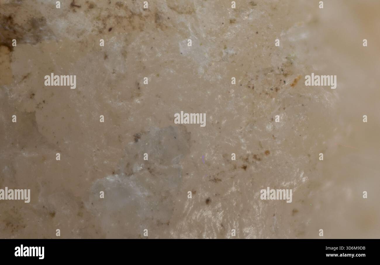 Primo piano di texture in pietra beige con polpette minerali cristalline Foto Stock