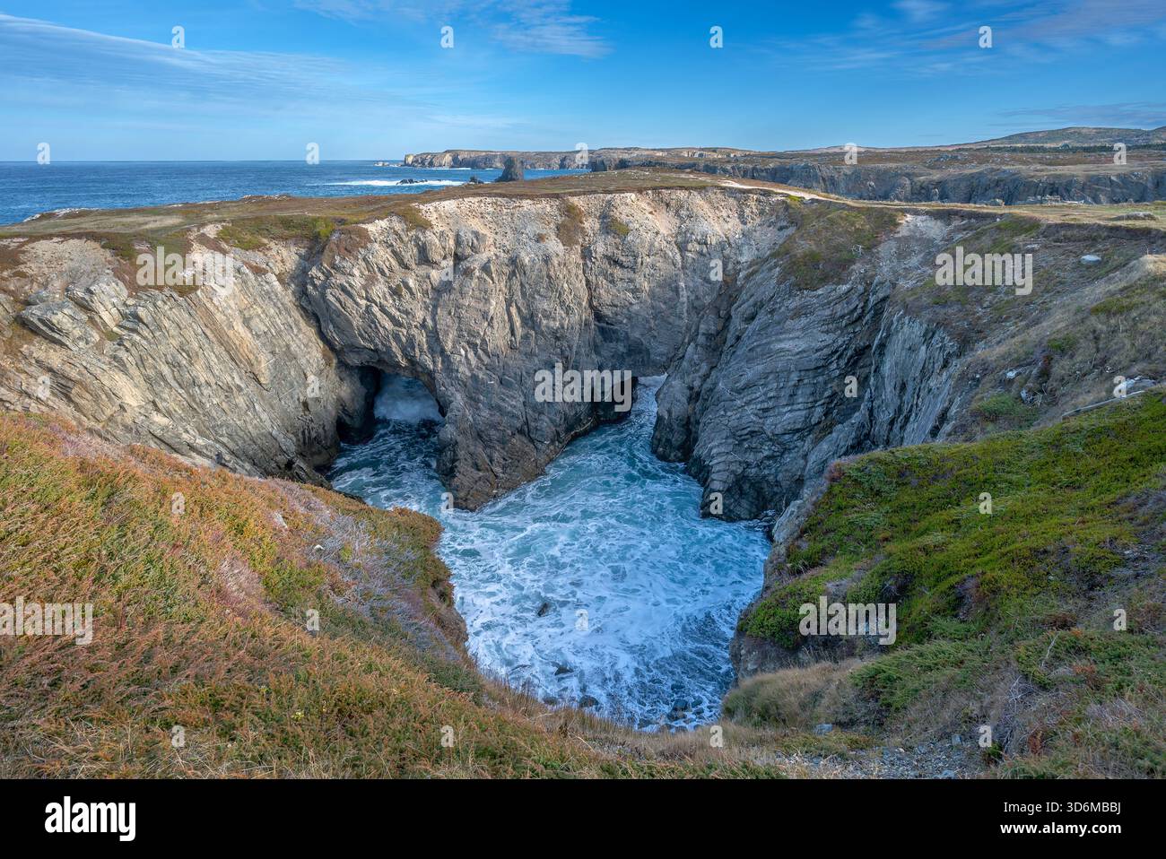 Piscina e roccia al Dungeon Provincial Park, Terranova e Labrador, Canada Foto Stock