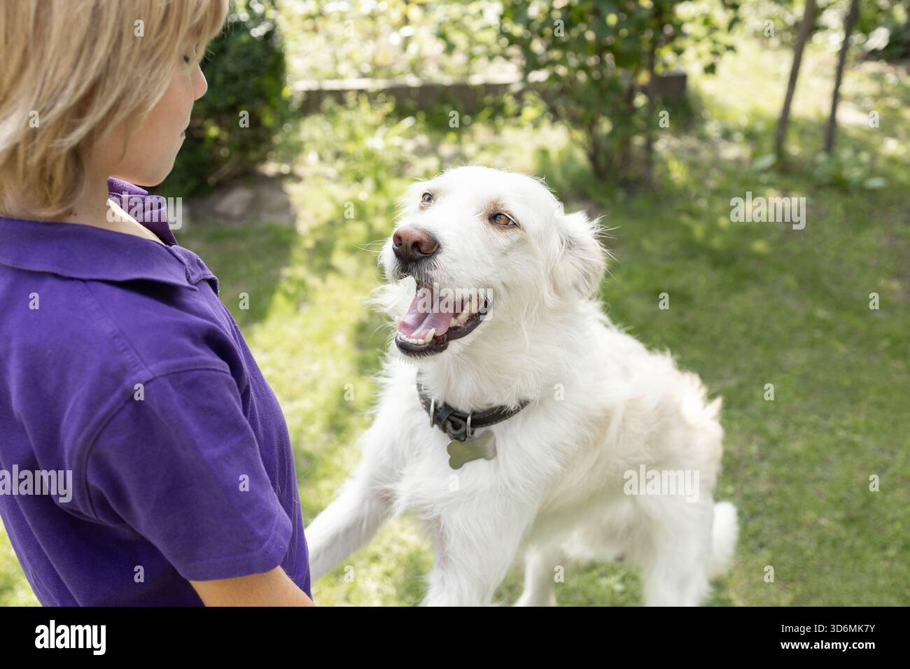 Il volto di un cane bianco contento che guarda il volto di un bambino irriconoscibile, il suo amico e proprietario. Concetto di amicizia tra un bambino e un Foto Stock