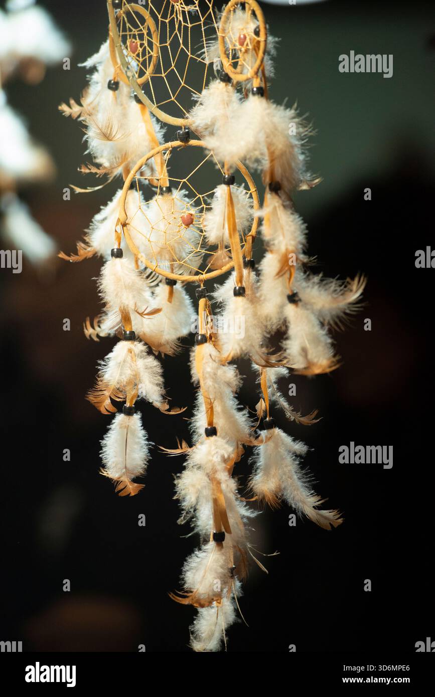 Dreamcatcher decorato con piume Foto Stock