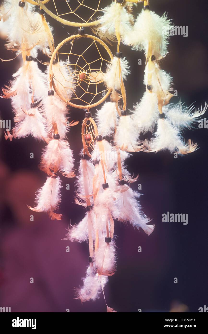Dreamcatcher decorato con piume Foto Stock