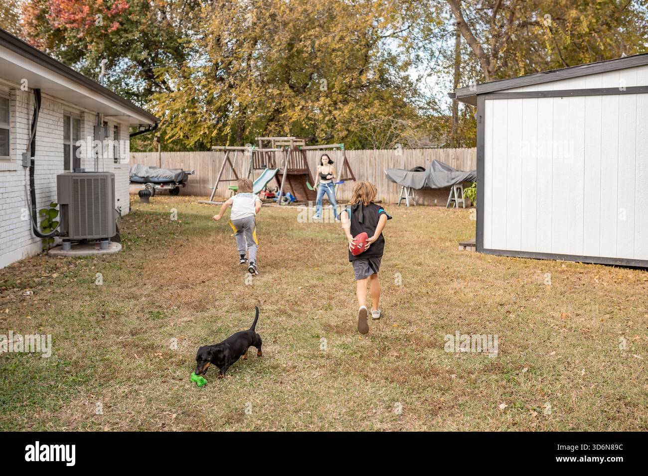 fratelli che giocano a flag football nel cortile con dachshund che giocano Foto Stock