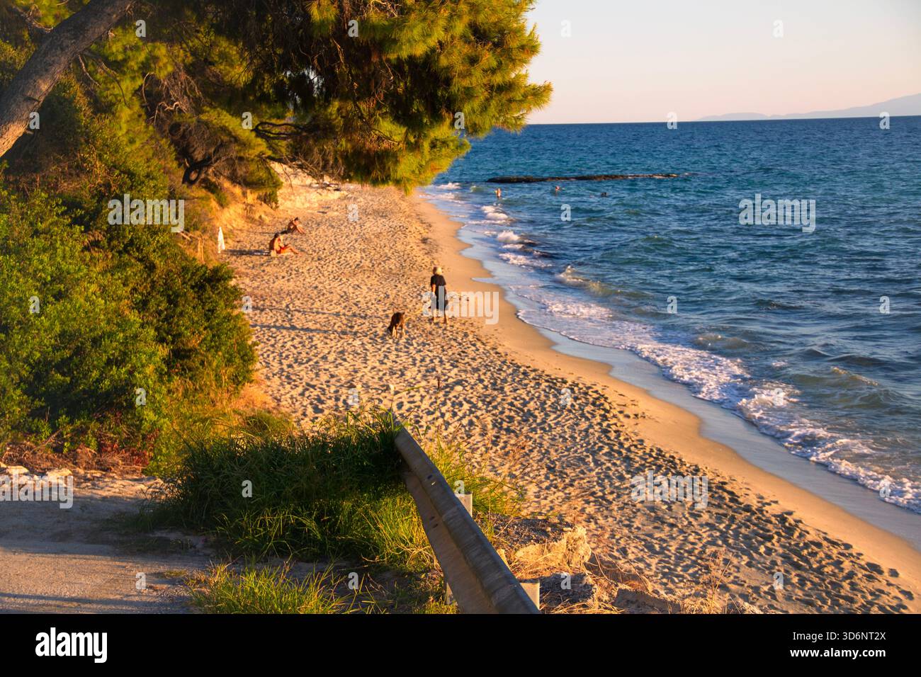 donna che cammina un cane sulla spiaggia Foto Stock