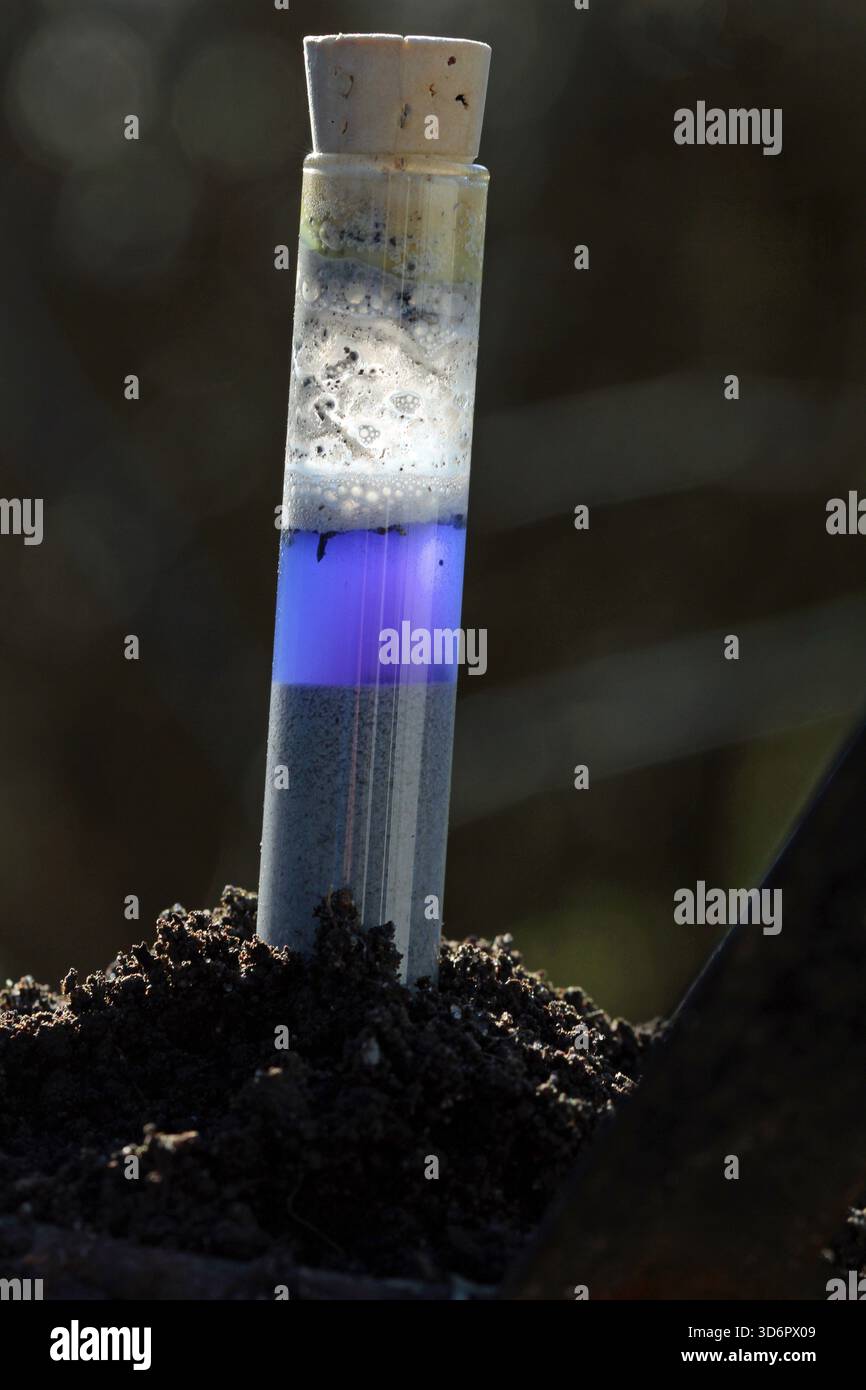 Primo piano di una provetta per analisi del pH del terreno con terreno da giardino, misurazione neutra. Horn-Bad Meinberg Foto Stock