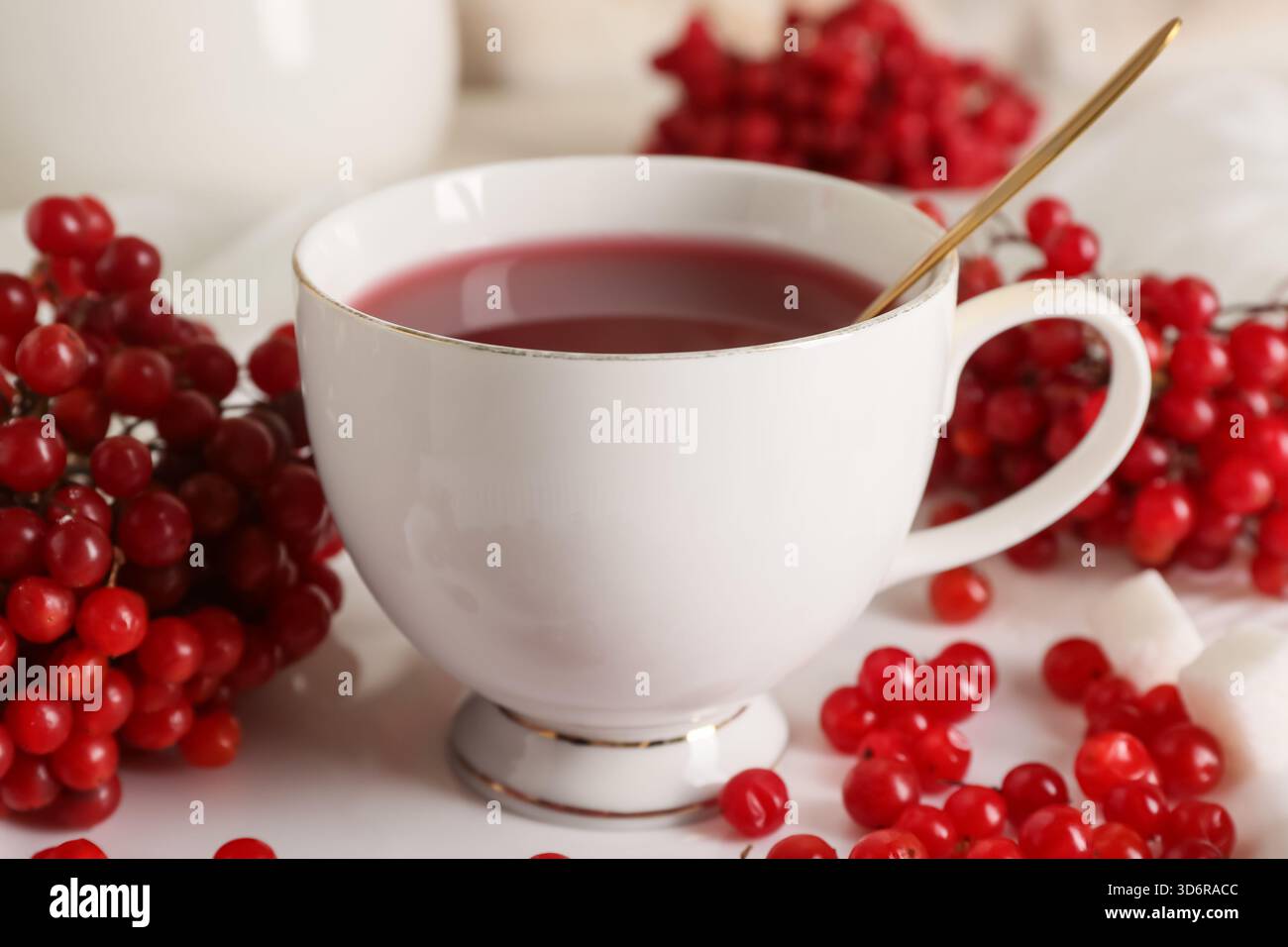 Tazza di tè al viburnum caldo con cubetti di zucchero, primo piano Foto Stock