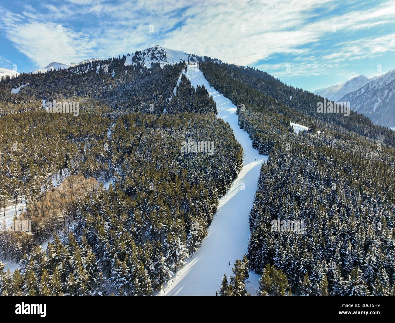 Vista aerea ad alto angolo che mostra un'ampia pista da sci curata che intaglia un sentiero attraverso la fitta foresta di conifere su un ripido versante montano sotto un blu brillante Foto Stock