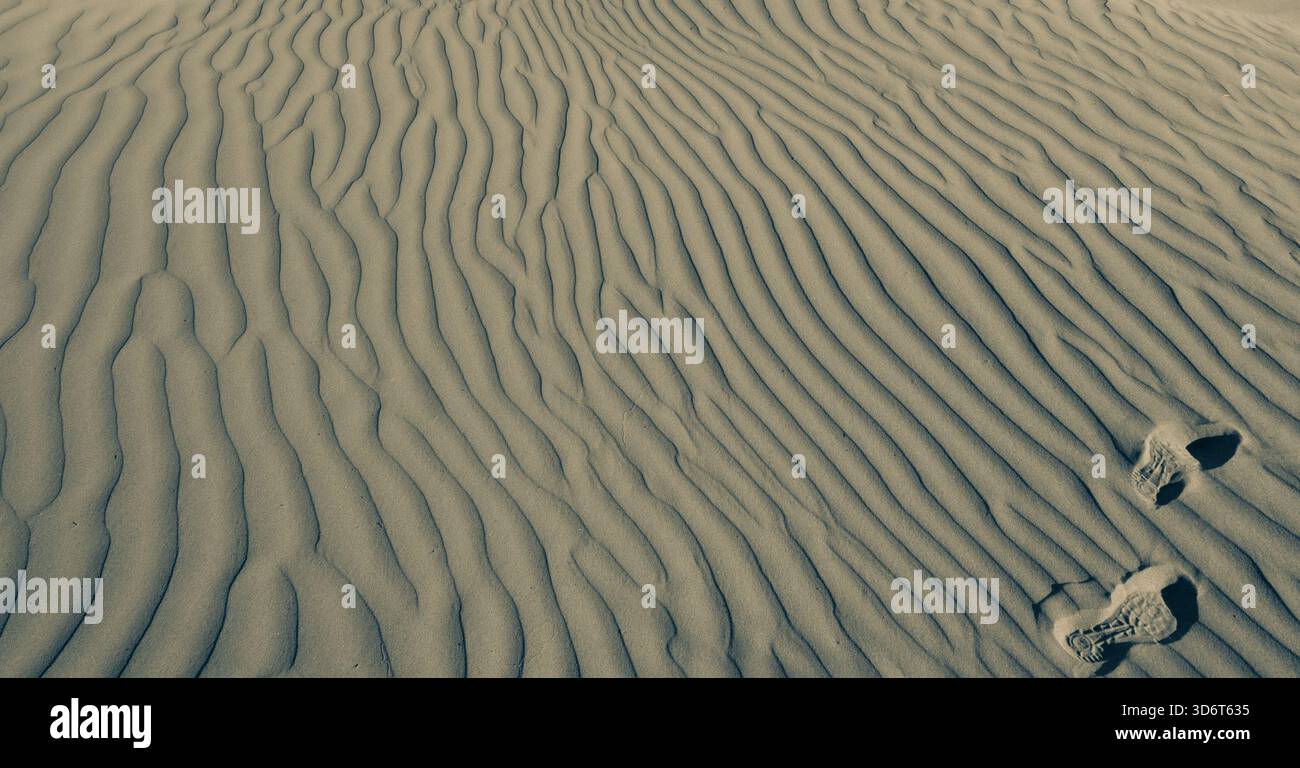 Due stampe di scarpe tra le increspature di sabbia Foto Stock
