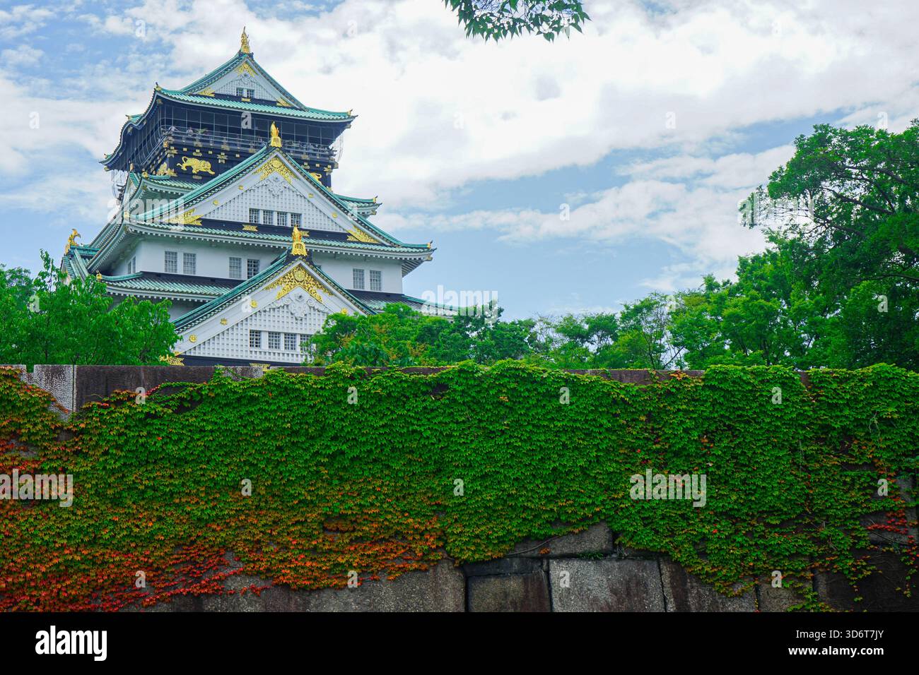 Castello di Osaka visto con mura difensive di fortificazione ricoperte di viti a Osaka, Giappone Foto Stock