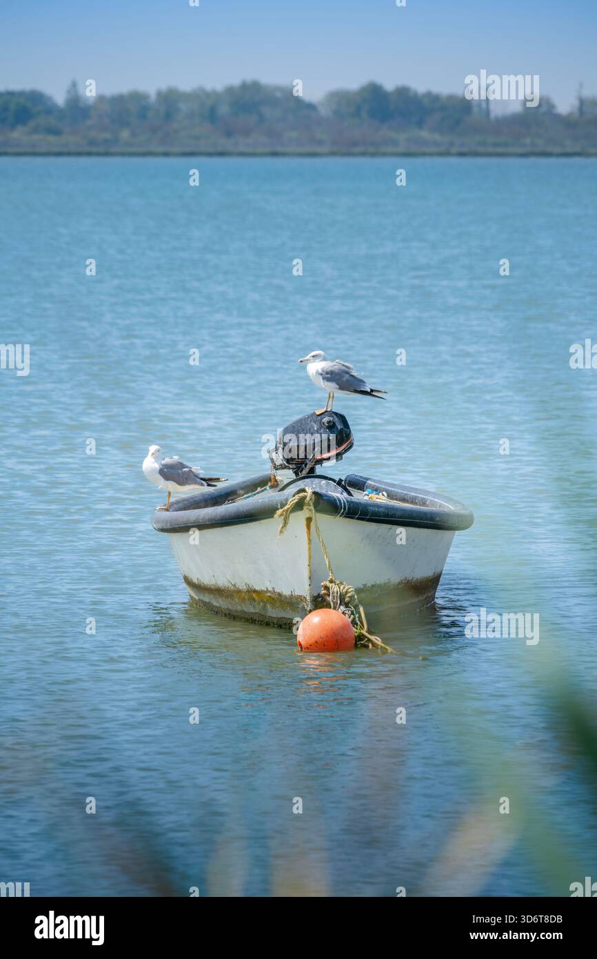 Due gabbiani riposanti si aprono su una vecchia e piccola barca da pesca ancorata da una boa arancione nelle calme acque turchesi di una laguna in una giornata di sole Foto Stock
