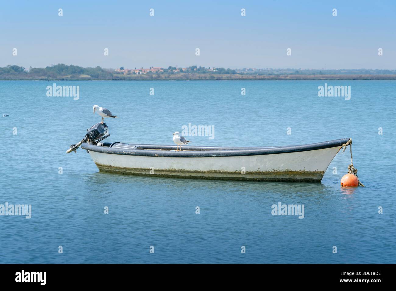 Due gabbiani riposano su una piccola barca da pesca bianca ancorata con una boa arancione nelle calme acque blu di una laguna sotto un cielo limpido Foto Stock