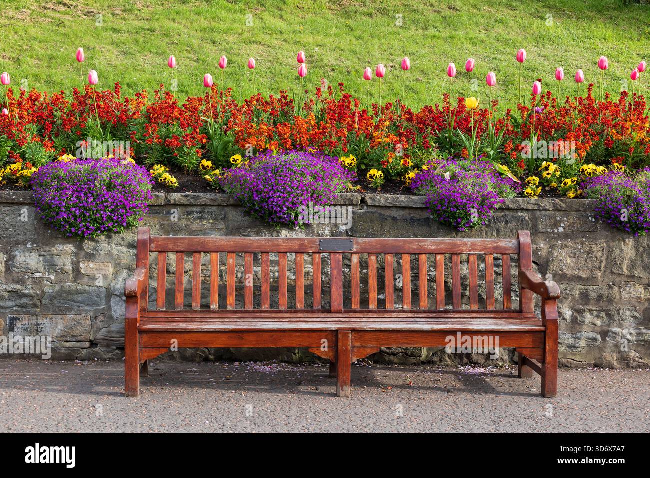 Panca in legno e fiori fioriti in primavera nei Princes Street Gardens, parco nel centro di Edimburgo, Scozia, Regno Unito. Foto Stock