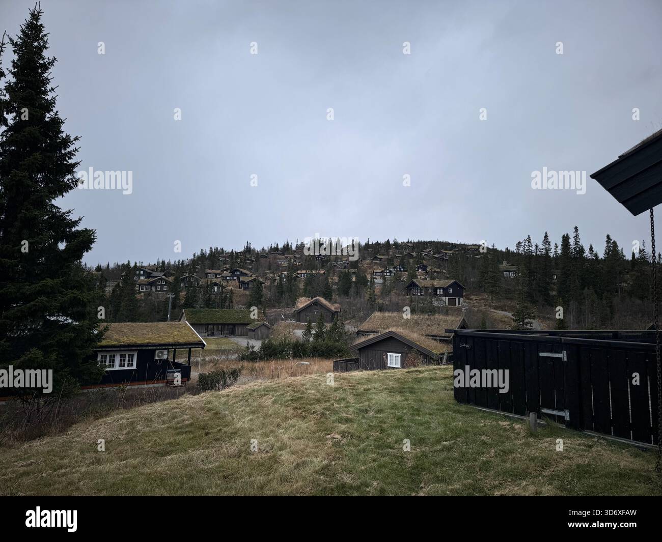 Le tradizionali cabine in legno si diffondono su una collina, mescolandosi al morbido paesaggio primaverile sotto un cielo tenue. - Immagine stock catturata con smartphone