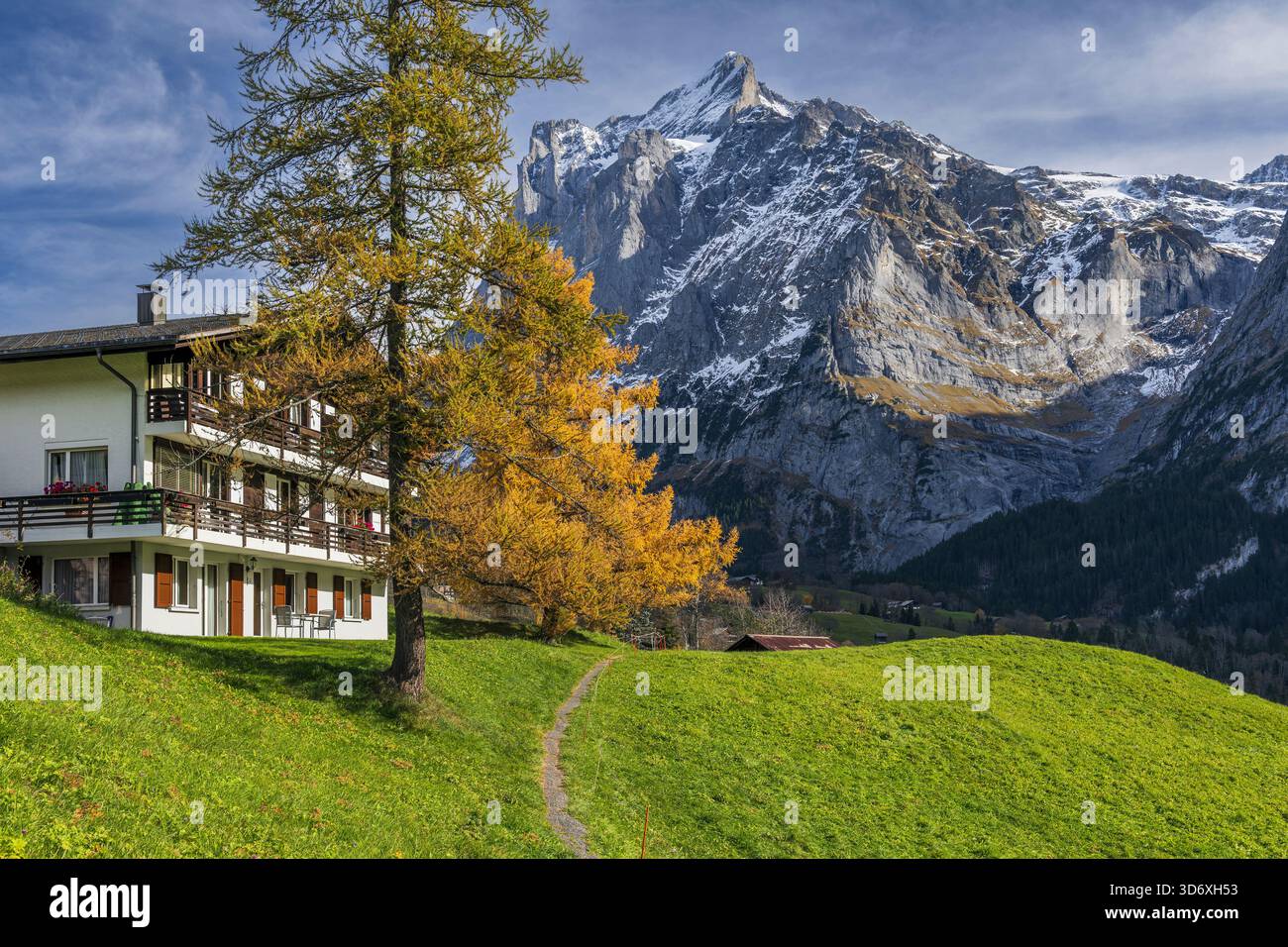 Wetterhorn, Grindelwald, Cantone di Berna, Svizzera Foto Stock