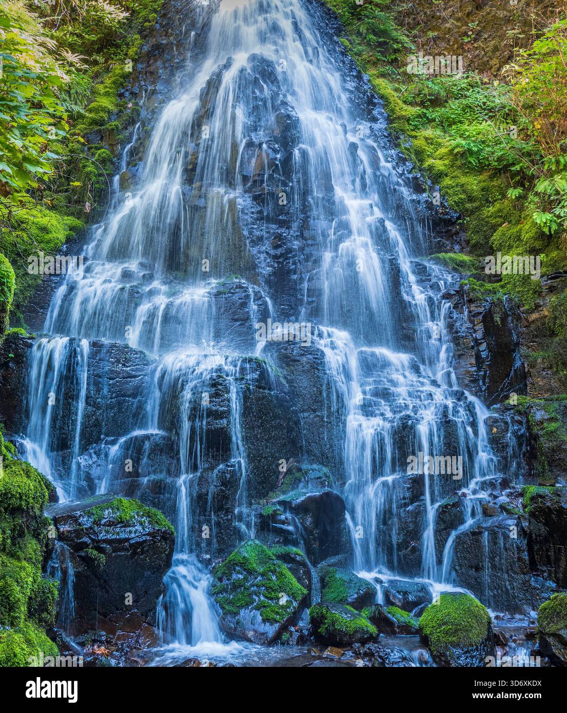 Fairy Falls, Columbia River Gorge National Scenic Area, Oregon. Foto Stock