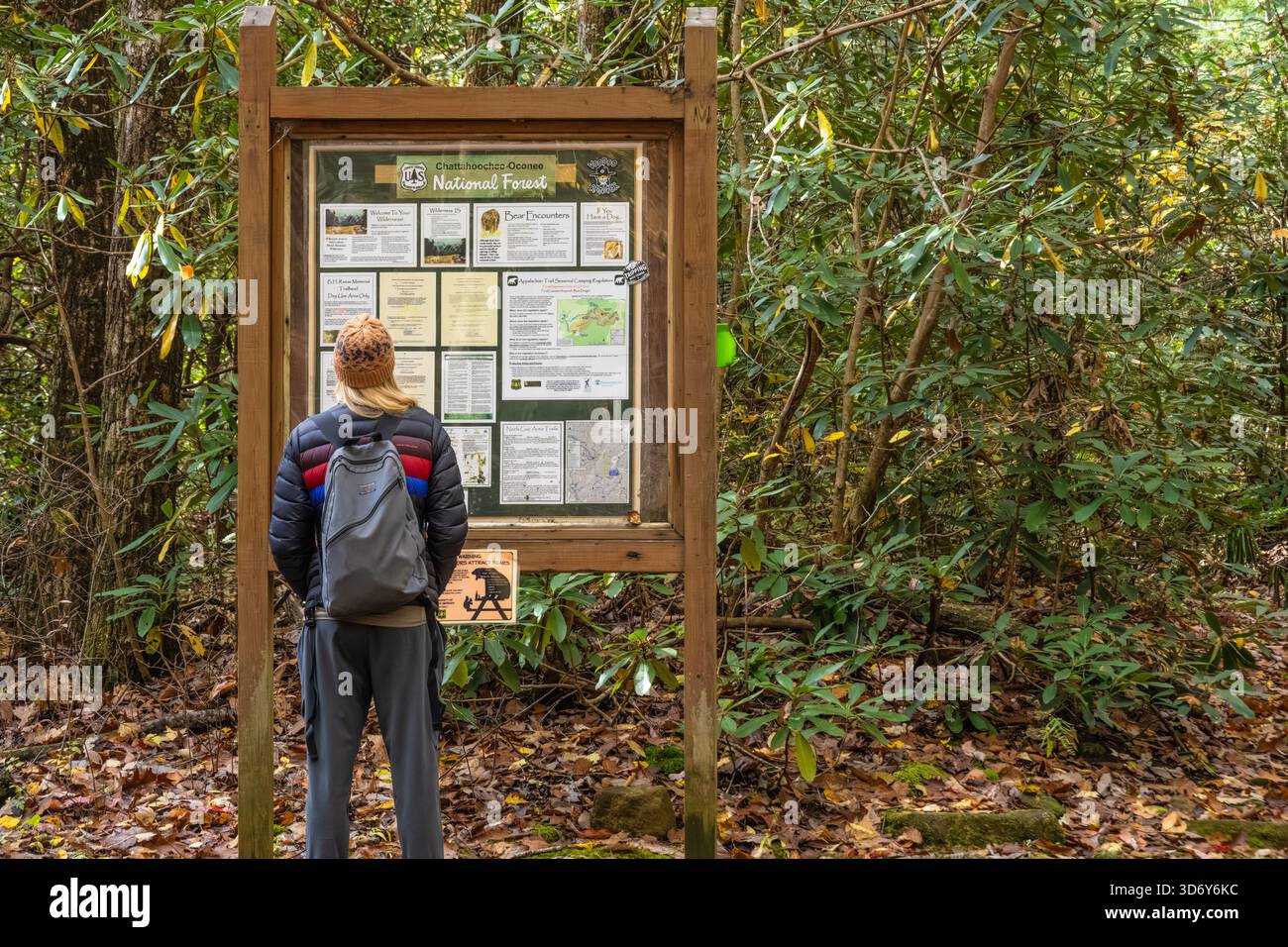 Escursionista che legge una bacheca informativa sul sentiero presso il B.H. Reese Memorial Trailhead, un'area ad uso giornaliero per accedere a più sentieri, tra cui l'Appalachian Trail. Foto Stock