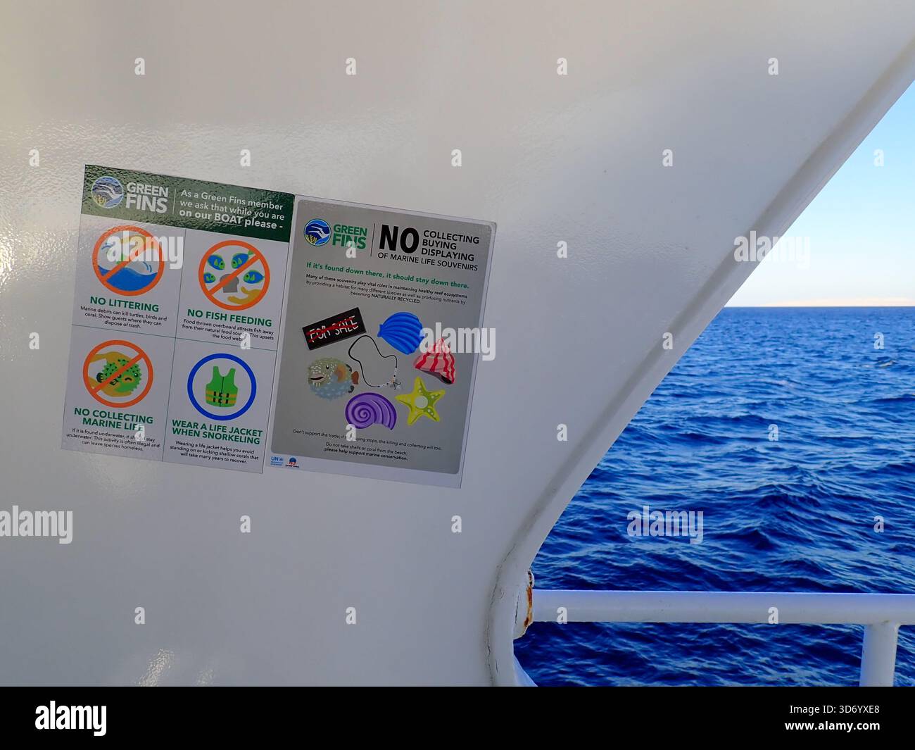 Adesivo di sensibilizzazione ambientale delle pinne verdi a bordo di una nave subacquea del Mar Rosso vicino a Hurghada, Egitto Foto Stock