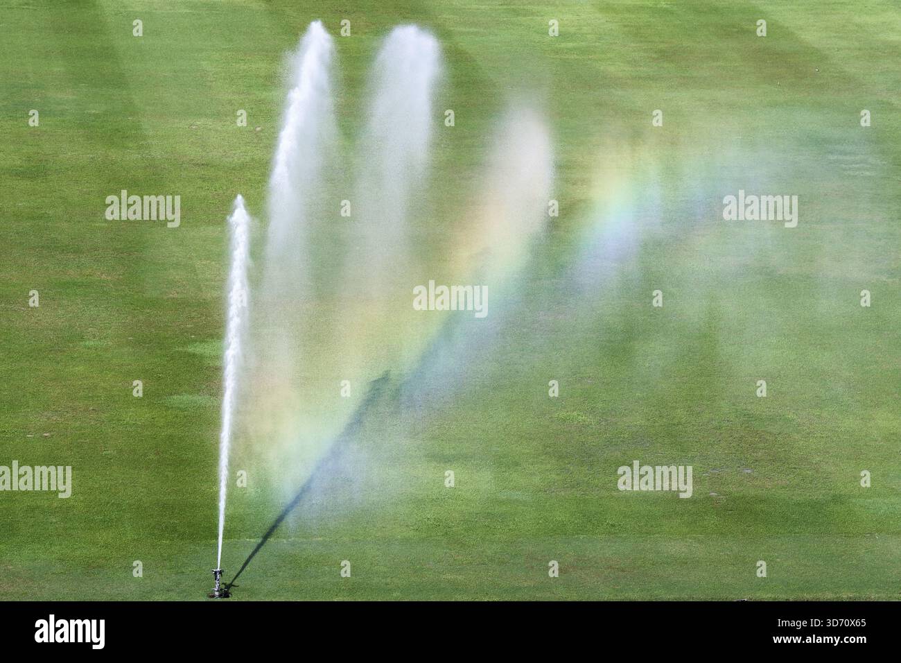Il rinfrescante sistema di irrigazione sprinkler spruzza acqua sul prato verde, creando nebbia vibrante con un debole arcobaleno. il movimento mostra l'innaffiatura di un grande fiel Foto Stock