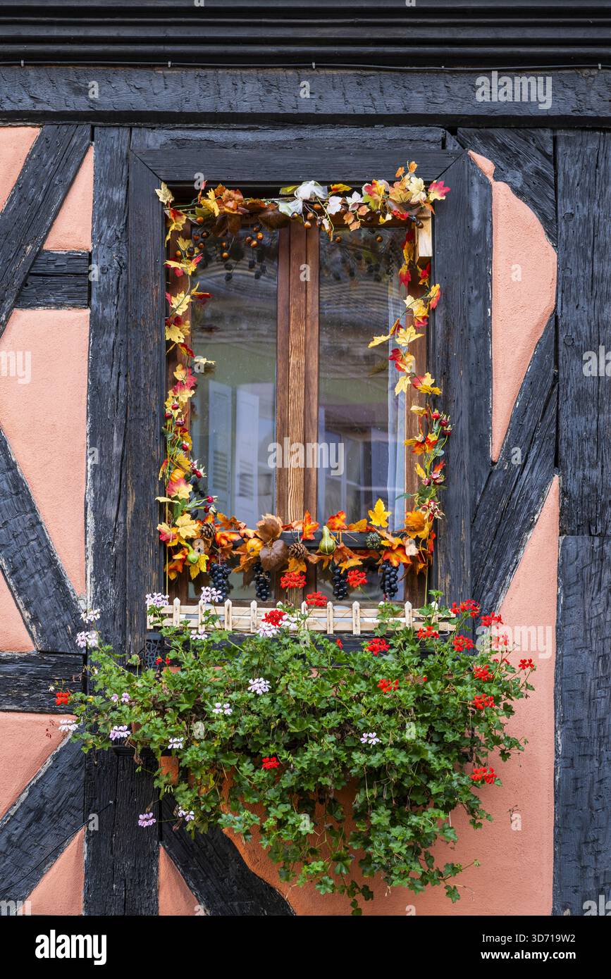 Casa pittoresca, Riquewihr, Haut-Rhin, Grand Est, Francia Foto Stock