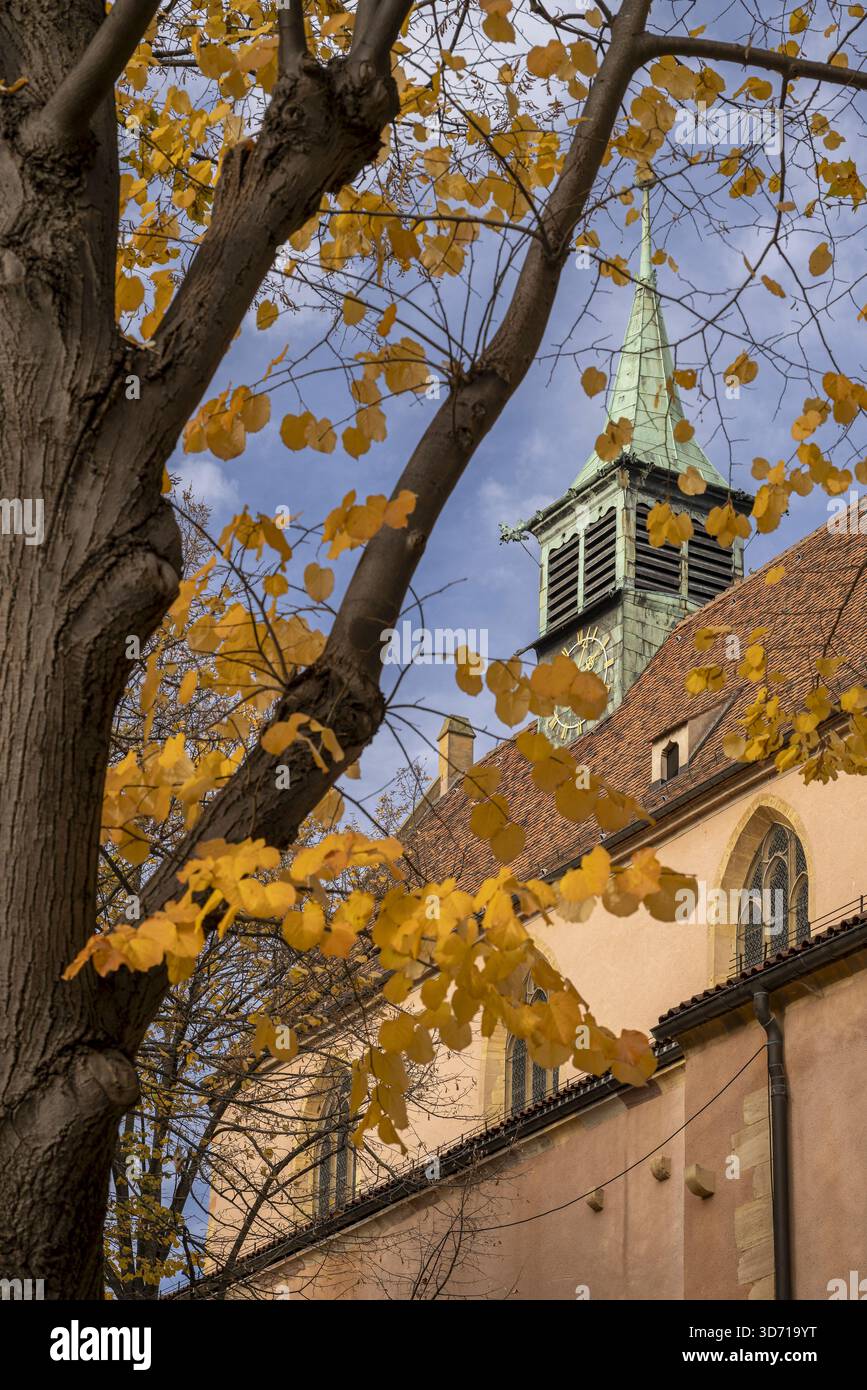 Chiesa di San Martino, Colmar, Haut-Rhin, Grand Est, Francia Foto Stock