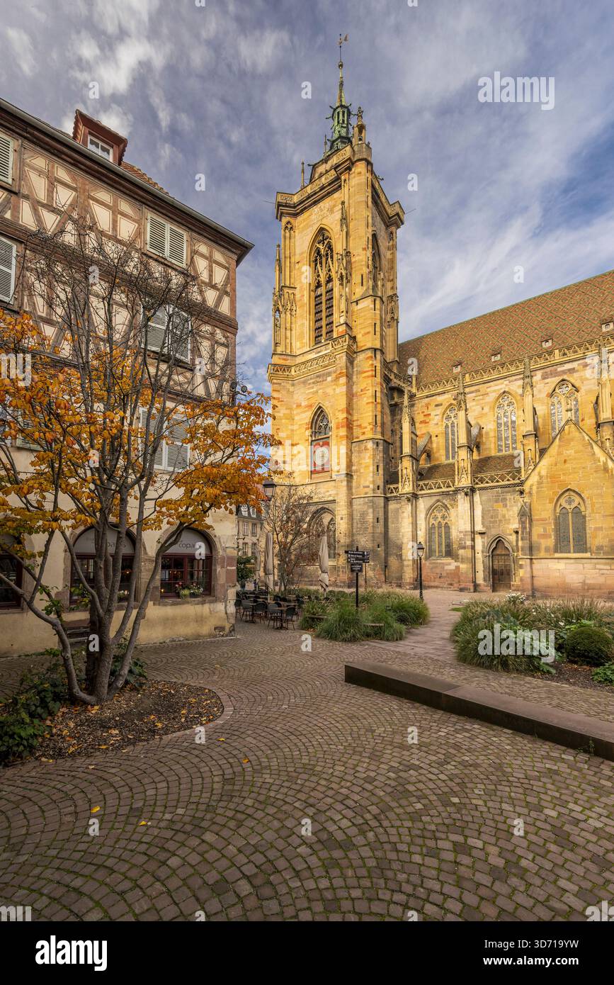 Chiesa di San Martino, Colmar, Haut-Rhin, Grand Est, Francia Foto Stock