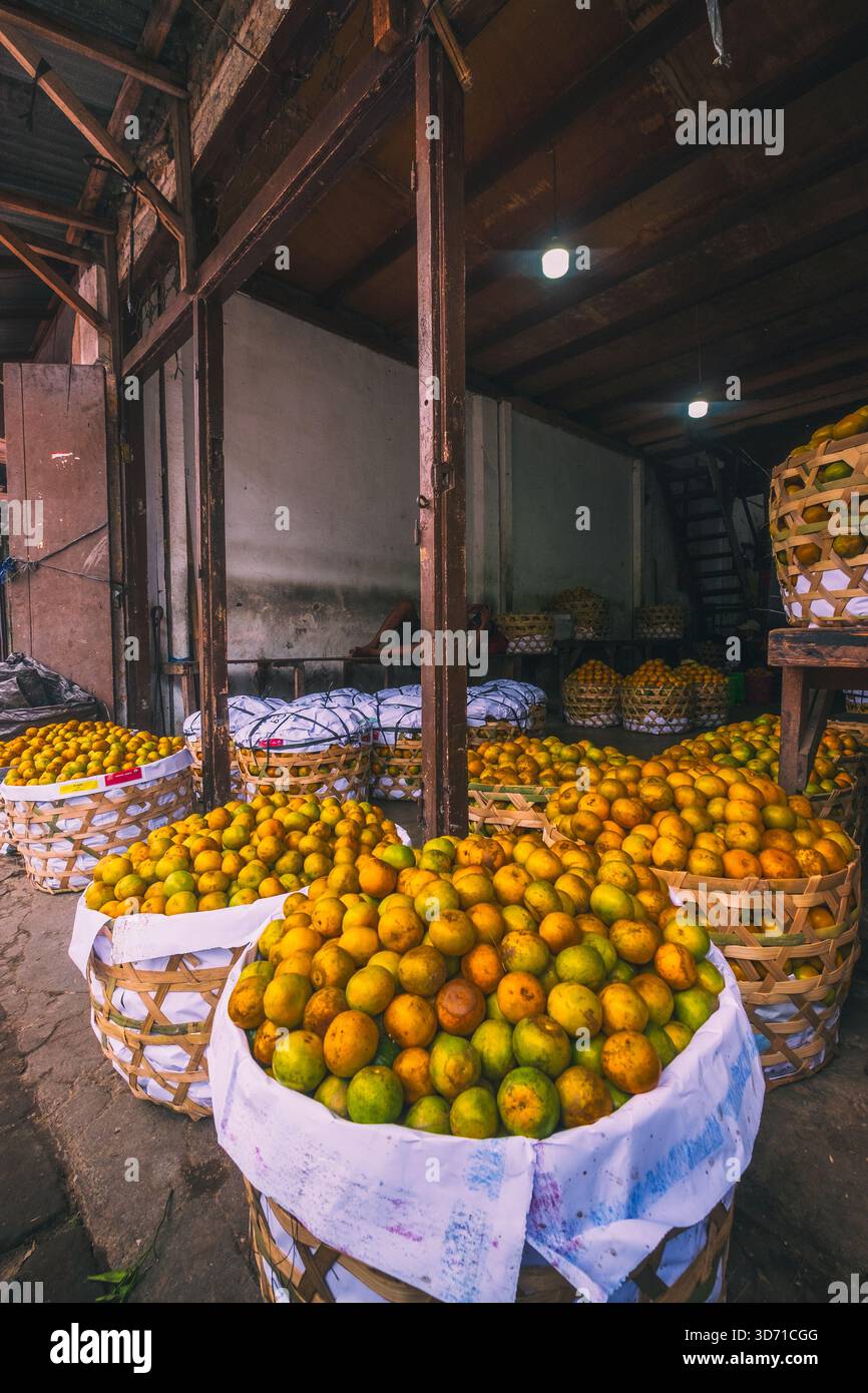 Arance raccolte vendute al Badung Market, 27 settembre 2025, Bali, Indonesia Foto Stock