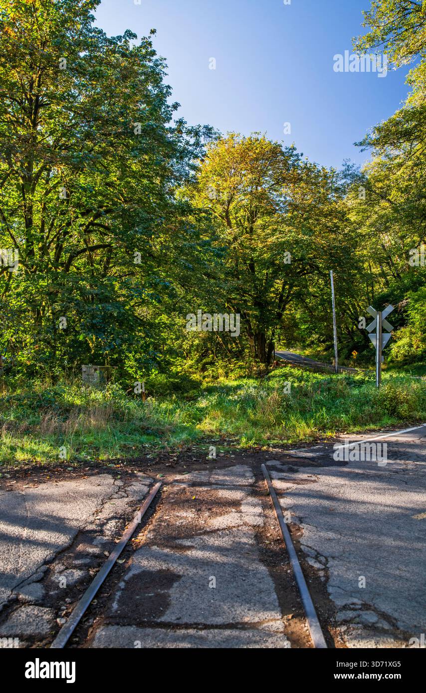 Ferrovia abbandonata a Foss Road Crossing, Coast Range, Tillamook State Forest, vicino alla città di Nehalem, Oregon, USA Foto Stock